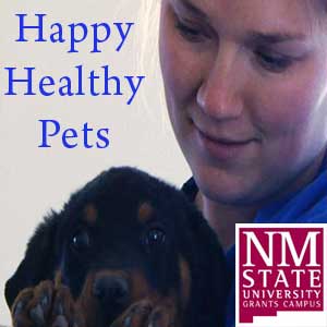 Happy Healthy Pets